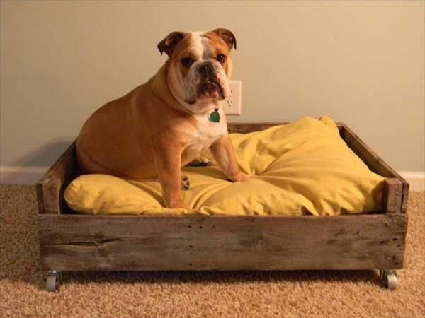 cama para perros con palets