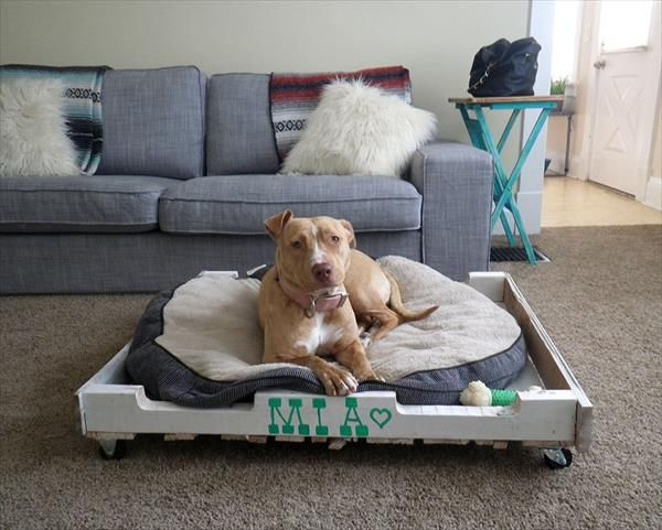 cama para perros con palets