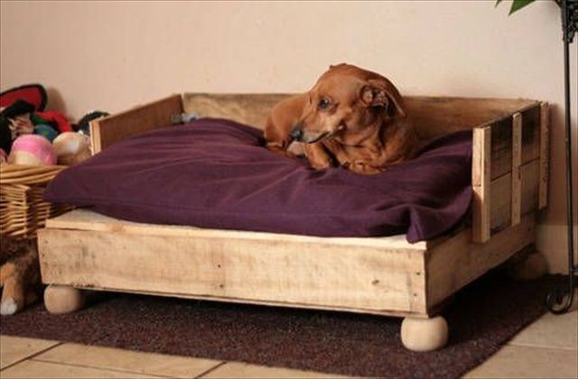 cama para perros con palets