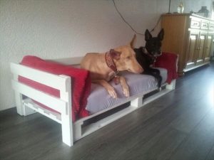 cama para perros con palets