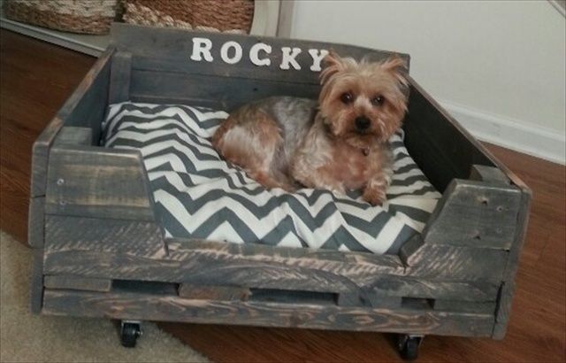 cama para perros con palets