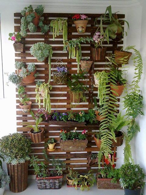 jardín con palets